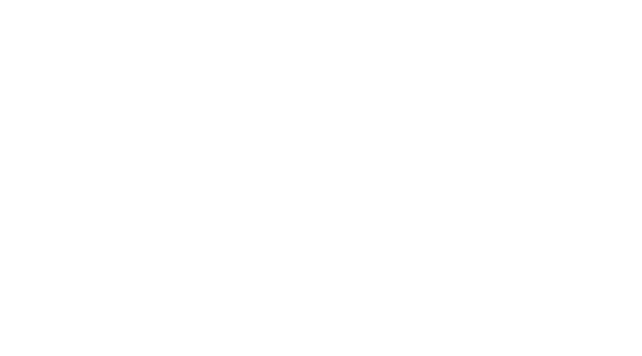 logo_shaker